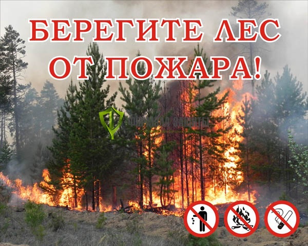 Берегите лес